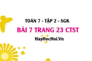 Bài 7 trang 23 Toán 7 Tập 2 Chân trời sáng tạo